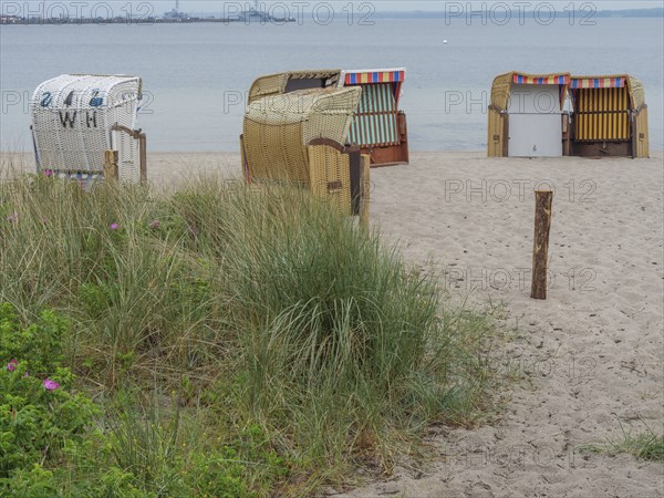 Some beach chairs on an empty beach with a view of the calm sea and tufts of grass in the foreground, Eckernförde, SChleswig-Holstein, Germany, Europe