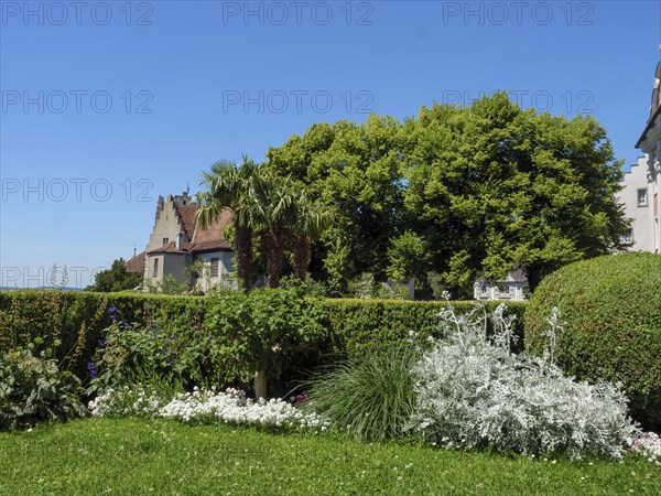 Castle in the background of a well-tended garden with trees, palm trees and colourful flowers on a sunny day, Meersburg, Lake Constance, Germany, Europe