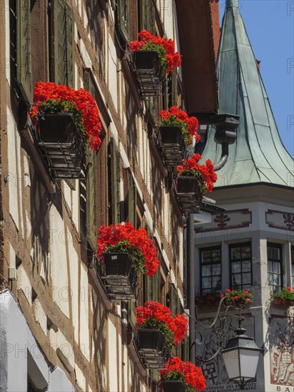 Several balconies of a half-timbered house, decorated with red flowers, under a bright blue sky, Meersburg, Germany, Europe
