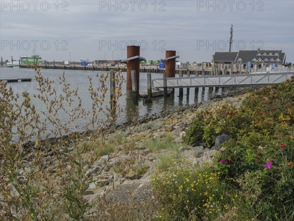 A harbour with a jetty, plants and flowers, boats and calm water, Spiekeroog, East Frisia, GERMANY