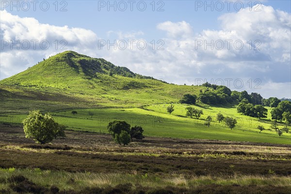 Farms and Moors in North York Moors National Park, Yorkshire, England, United Kingdom, Europe