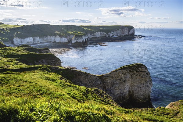 Cliffs over Flamborough Seawatch Observatory, Flamborough, Yorkshire, England, United Kingdom, Europe