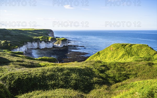 Cliffs over Flamborough Seawatch Observatory, Flamborough, Yorkshire, England, United Kingdom, Europe
