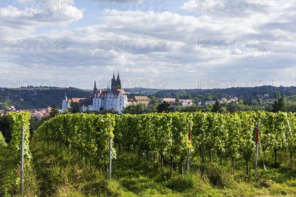 Proschwitz Castle is a castle in the neo-baroque style in the Meissen district of Proschwitz in the district of Meissen. Attached to it is Saxony's oldest still existing private winery in Proschwitz. Since 2021, the vinotheque has been located in the old servants' house at Proschwitz Castle, Meissen, Meissen, Saxony, Germany, Europe
