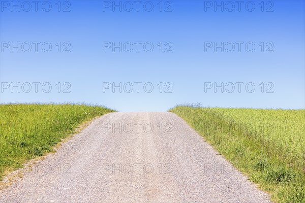 Empty gravel road on a hill by green fields and a clear blue sky