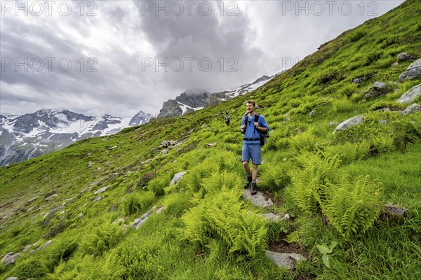 Mountaineers on a hiking trail on a green mountain slope, cloudy mountain peaks in Stillupptal, Zillertal Alps, Tyrol, Austria, Europe