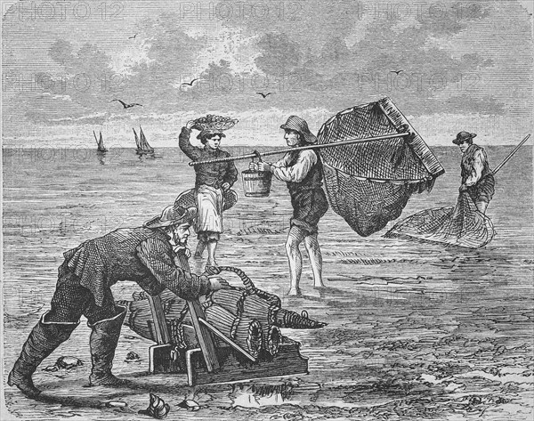 Shrimp fisherman, c. 1880, Historic, digitally restored reproduction from a 19th century original, Record date not stated