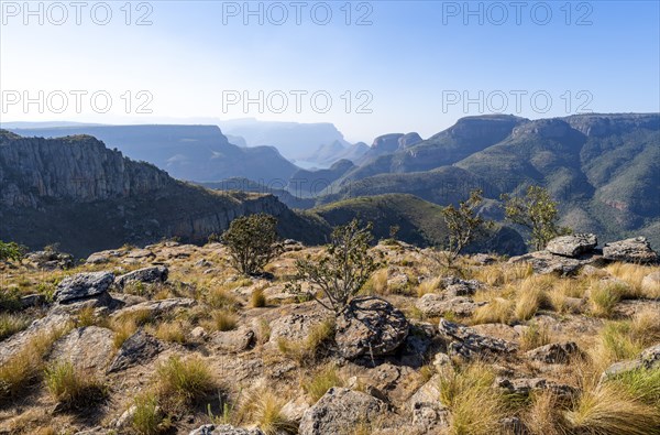 View of the Blyde River gorge, Lowveld Viewpoint, in the evening light, canyon landscape, Blyde River Canyon, Panorama Route, Mpumalanga, South Africa, Africa
