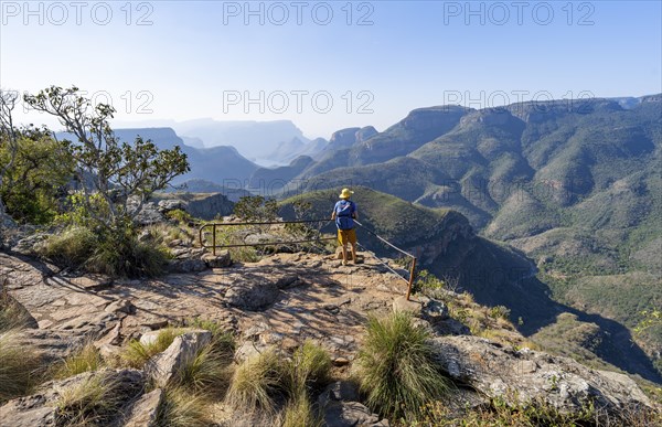 Tourist at the viewpoint, view of the Blyde River gorge, Lowveld Viewpoint, in the evening light, canyon landscape, Blyde River Canyon, Panorama Route, Mpumalanga, South Africa, Africa
