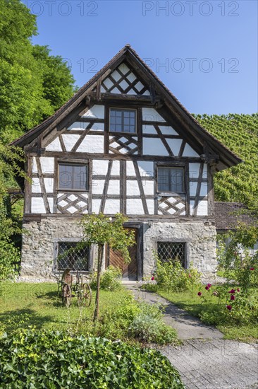Historic half-timbered house, Ittingen Charterhouse, Warth-Weiningen near Frauenfeld, Canton Thurgau, Switzerland, Europe