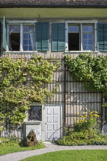 Detail of an old residential building with vines on the façade, Ittingen Charterhouse, Warth-Weiningen near Frauenfeld, Canton Thurgau, Switzerland, Europe