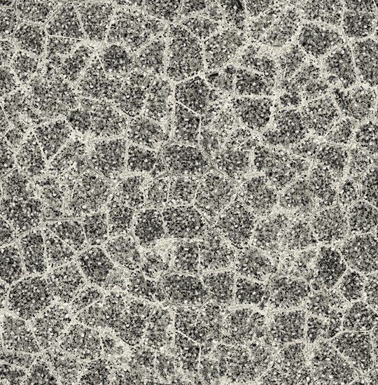 Abstract black and white cracked texture resembling a mosaic of irregular shapes