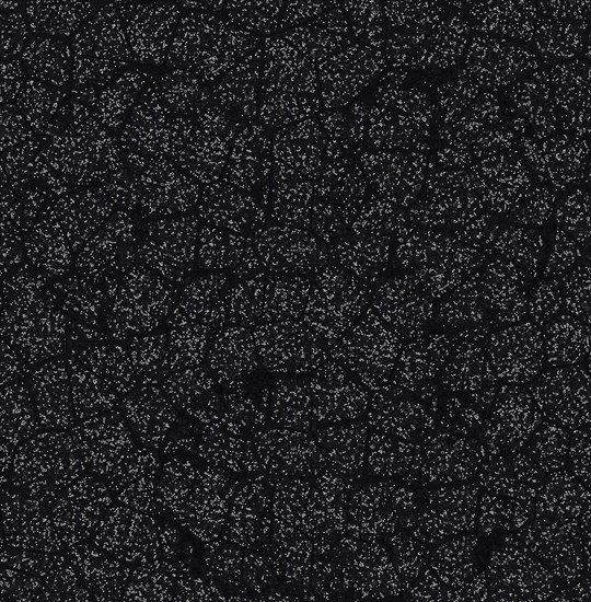 Abstract speckled texture with a crackled pattern in black and gray