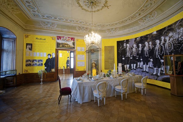 Museum, neo-classical Lower Castle, interior view, residential town of Greiz, Thuringia, Germany, Europe