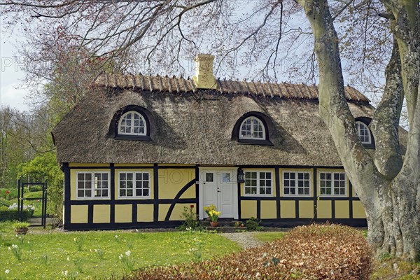 Cosy half-timbered house with thatched roof and garden in quiet village, Tasing, Denmark, Europe