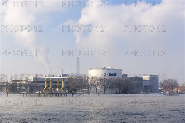 BASF plant site on the banks of the Rhine, chemical company, foggy mood, Ludwigshafen, Rhineland-Palatinate, Germany, Europe