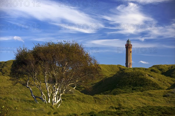 Large Norderney lighthouse in the dune landscape, Norderney Island, East Frisia, Lower Saxony, Germany, Europe