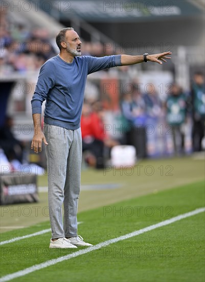 Coach Peregrino Matarazzo TSG 1899 Hoffenheim, gesture, gestures, PreZero Arena, Sinsheim, Baden-Württemberg, Germany, Europe