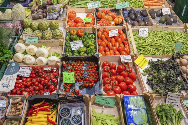 Market stall with a wide range of local and exotic vegetables in the Markthalle Stuttgart, Baden-Württemberg, Germany, Europe