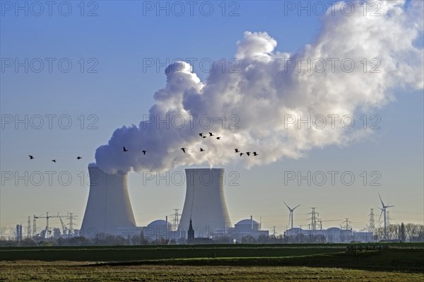 Geese flying in front of cooling towers of the Doel Nuclear Power Station, nuclear power plant in the Antwerp harbour, Flanders, Belgium, Europe
