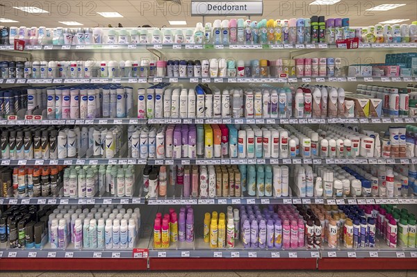 Assortment of personal care products in a drugstore, Mecklenburg-Vorpommern, Germany, Europe