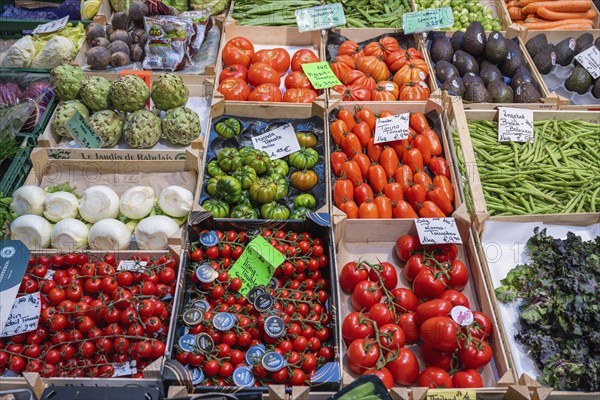 Market stall with a wide range of local and exotic vegetables in the Markthalle Stuttgart, Baden-Württemberg, Germany, Europe