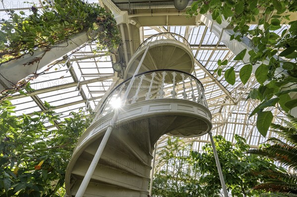 Cast-iron spiral staircase, Temperate House, largest Victorian greenhouse in the world, Royal Botanic Gardens (Kew Gardens), UNESCO World Heritage Site, Kew, Greater London, England, United Kingdom, Europe