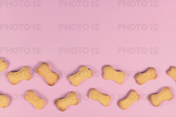 Bone shaped dog biscuits at bottom of pink background with empty copy space