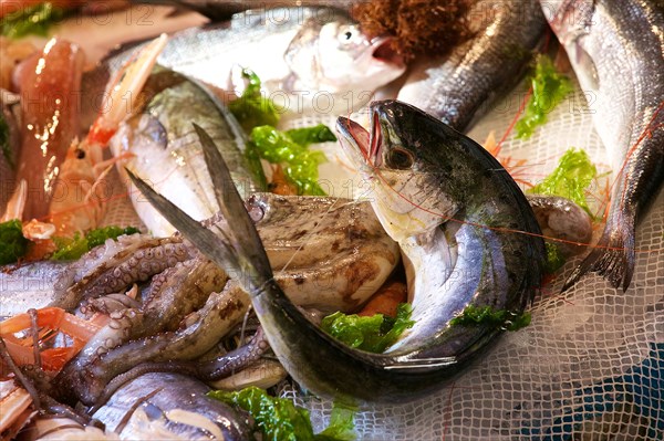 Fish in display, detail, octopus, fish market, Catania, Old Town, Baroque Old Town, Eastern Cuisine, Sicily, Italy, Europe