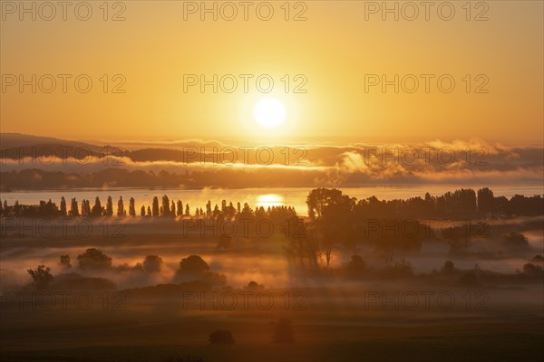 Early morning fog with sunrise over the Radolfzeller Aachried, Lake Constance behind, Radolfzell, Constance district, Baden-Württemberg, Germany, Europe
