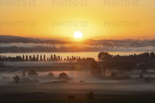 Early morning fog with sunrise over the Radolfzeller Aachried, Lake Constance behind, Radolfzell, Constance district, Baden-Württemberg, Germany, Europe