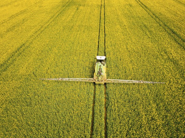 Crop protection products are applied to a rapeseed field on the outskirts of Dresden