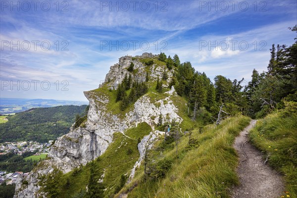 Hiking trail to the summit of the Nockstein, Osterhorn Group, Flachgau, Land Salzburg, Austria, Europe