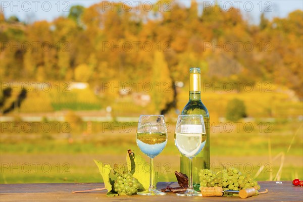 The wine-growing region of Saxony is one of the smallest and the most easterly wine-growing region in Germany, defined in § 3 para. 1 no. 12 of the Wine Act. It is located almost exclusively in the Dresden conurbation in the Elbe valley. Well-known wine towns are Meißen, which gives its name to the most important area, and Radebeul