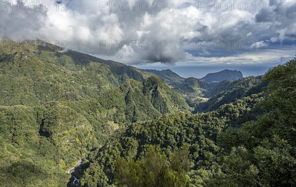 Densely overgrown steep mountains, green mountain landscape, view from the Miradouro dos BalcÃµes, Ribeira da Metade mountain valley, Madeira, Portugal, Europe