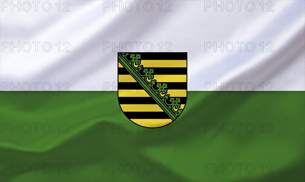 The flag of Saxony, official flag, state official flag, studio