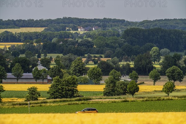 Bundesstraße 1, Werler Straße, fields, forest and grain fields east of Unna, near the village of Hemmerde, North Rhine-Westphalia, Germany, Europe