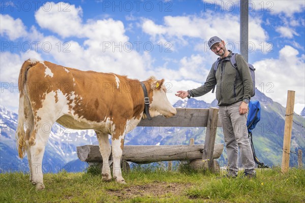 A man in outdoor clothing smiles and strokes a cow next to a bench against a mountain backdrop under a blue sky with clouds, Penken, Zillertal. Austria