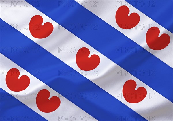 The flag of Friesland, Province, Studio