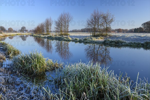 Hunte near Diepholz, river, wintry, river, Diepholz, Lower Saxony, Germany, Europe