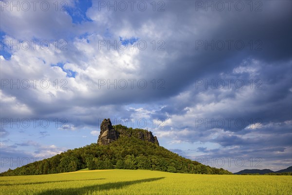 The Lilienstein is one of the most striking mountains in the Elbe Sandstone Mountains in Saxony. It is the only table mountain on the right bank of the Elbe and is the symbol of the Saxon Switzerland National Park, Saxon Switzerland, Königstein, Saxony, Germany, Europe