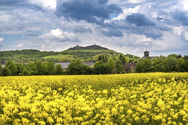 Rungenberg slag heap in the Buer district, night sign light installation, rape field, Gelsenkirchen, North Rhine-Westphalia, Germany, Europe
