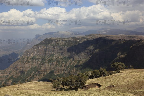In the highlands of Abyssinia, in the Semien Mountains, landscape in Semien Mountains National Park, Ethiopia, Africa