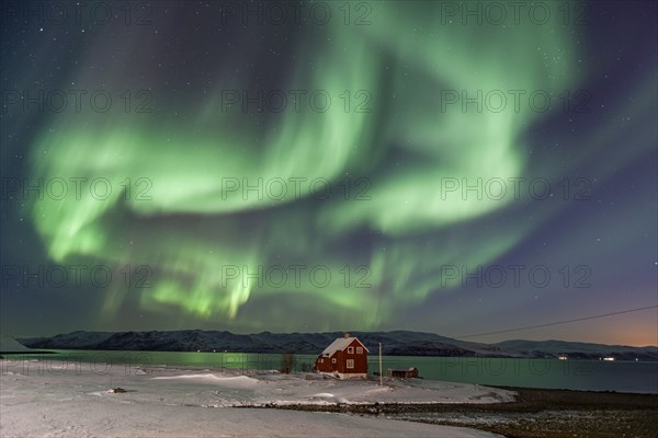 Green northern lights over a red house on the coast, aurora borealis, sea, winter, snow, Repparfjord, Finnmark, Norway, Europe