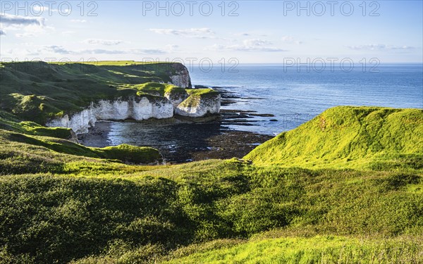 Cliffs over Flamborough Seawatch Observatory, Flamborough, Yorkshire, England, United Kingdom, Europe
