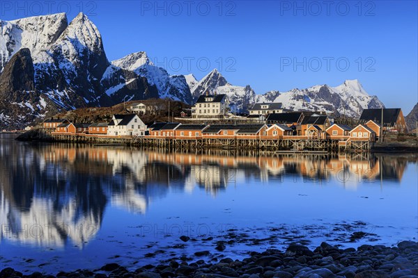 Wooden houses on a fjord off Bergen, morning light, reflection, winter, Reine, Moskenesoya, Lofoten, Norway, Europe