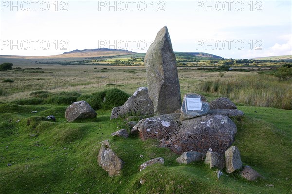 Modern bluestone single stone megalith, near Mynachlogddu, Preseli Hills, Pembrokeshire, Wales, United Kingdom, Europe