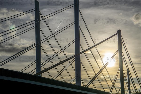Piers and stay cables of the new motorway bridge of the A40, over the Rhine near Duisburg, Neuenkamp Bridge, the old bridge in the background is currently being dismantled, then the second part of the Neuenkamp Bridge will be built, North Rhine-Westphalia, Germany, Europe