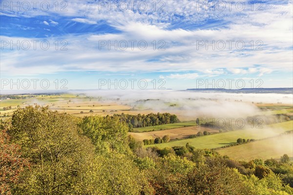 View of a patchwork landscape in the countryside with fog above the fields and beautiful autumn colors on the trees a sunny autumn day