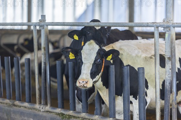 Federal Minister of Food and Agriculture, Cem Özdemir, visits Großdrebnitzer Agrarbetriebsges. mbH together with Saxony's Minister of Agriculture, Wolfram Günther